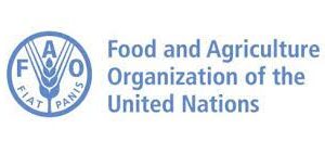 FOOD AND AGRICULTURE ORGANIZATION OF THE UNITED NATIONS (FAO)